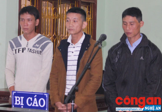 Lĩnh án vì giết trâu làm thịt