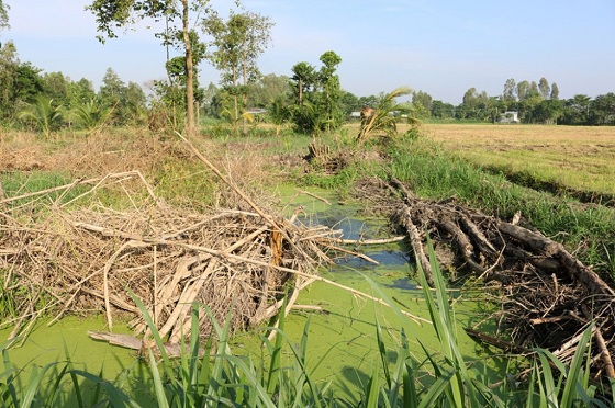 Hiện trường vụ việc