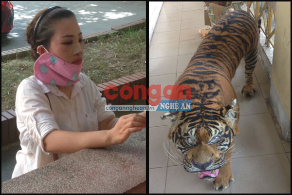 Đấu tranh hiệu quả với hành vi mua bán, vận chuyển động vật hoang dã