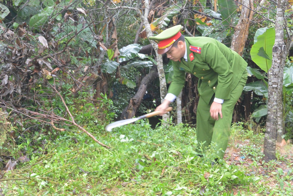 ... và phát quang bụi rậm dọc tuyến đường xóm 3 xã Nghi Ân