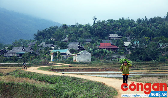 Bản Tạng, xã Tiền Phong - nơi có 5 người chết và 20 người bị nhiễm HIV