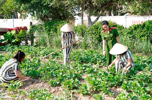 Nữ cảnh sát cảm hóa phạm nhân bằng tấm lòng