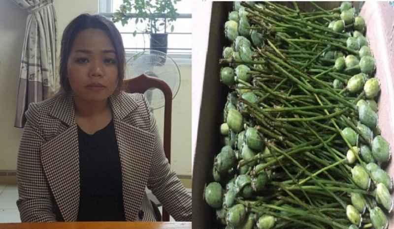 Đối tượng và tang vật