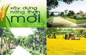 Một năm thành công trong xây dựng nông thôn mới