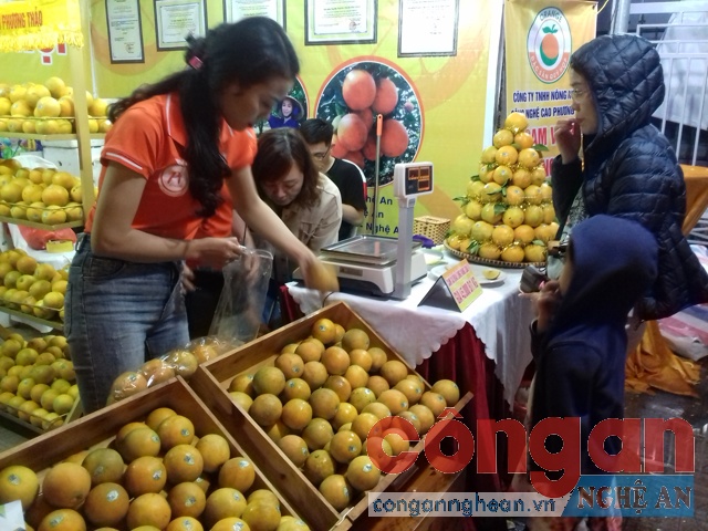 Khai mạc 'Hội chợ cam Vinh - Nghệ An năm 2018'