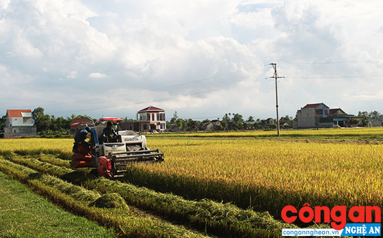 Nhìn rõ thách thức để quyết tâm hành động
