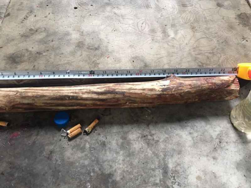 Khúc gỗ đối tượng dùng để gây án