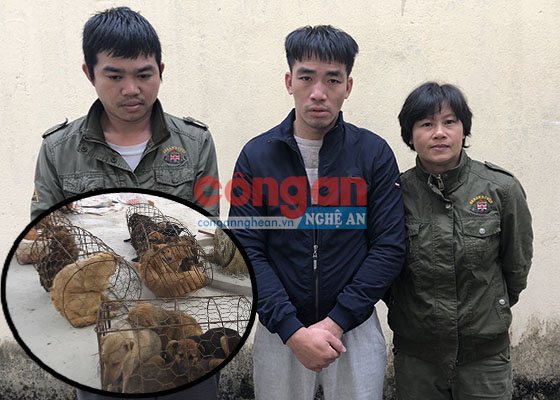 Bắt nhóm đối tượng mang 'hàng nóng' đi trộm chó