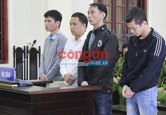 Kết đắng của các đối tượng trong đường dây ngụy trang ma túy trong hộp sữa