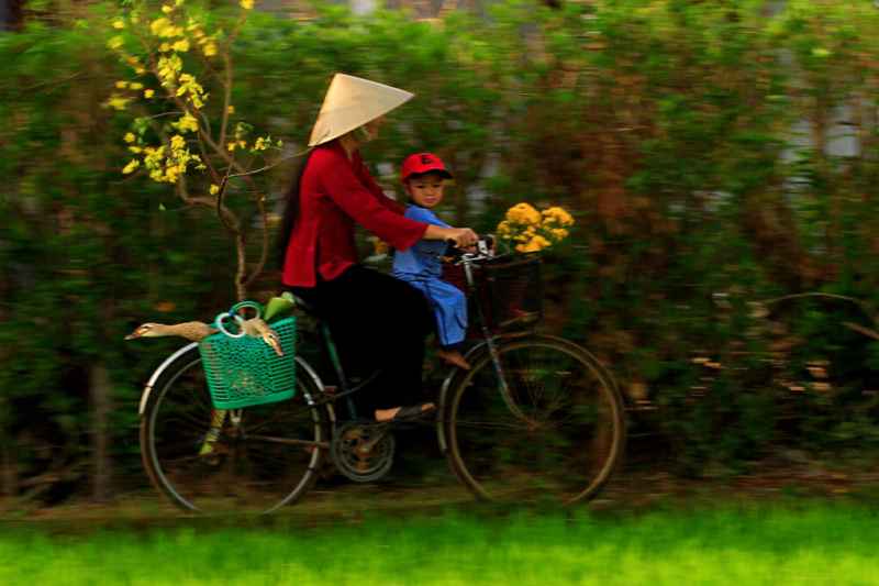 Tết quê