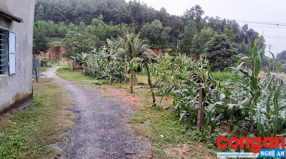 Xung quanh việc cấp bìa đỏ cho người dân tại đập Hóc Lầy