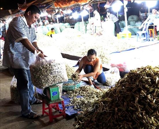Khách hàng lựa chọn củ kiệu tại Chợ đầu mối Thủ Đức.