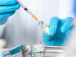 Sắp bào chế thành công vaccine dịch tả lợn Châu Phi