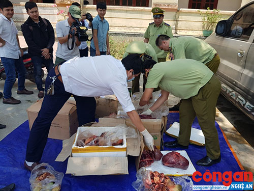 Quảng Bình: 300 kg nội tạng thối đang trên đường đi tiêu thụ bị bắt giữ