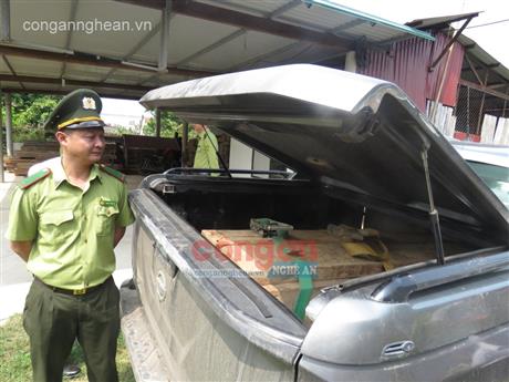 Quảng Bình: Xe bán tải gắn biển số giả, chở gỗ lậu