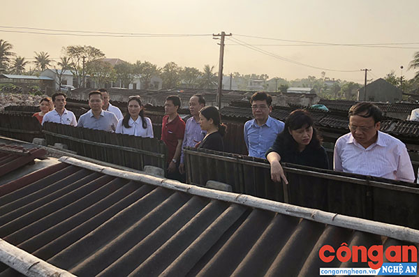 Hướng đi nào cho sản vật Nghệ An?