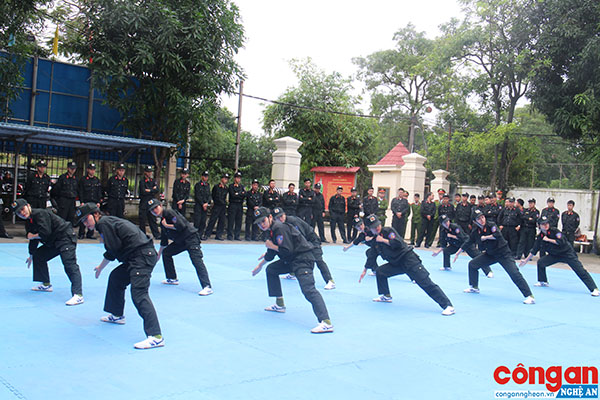 Nỗ lực đem lại bình yên cuộc sống