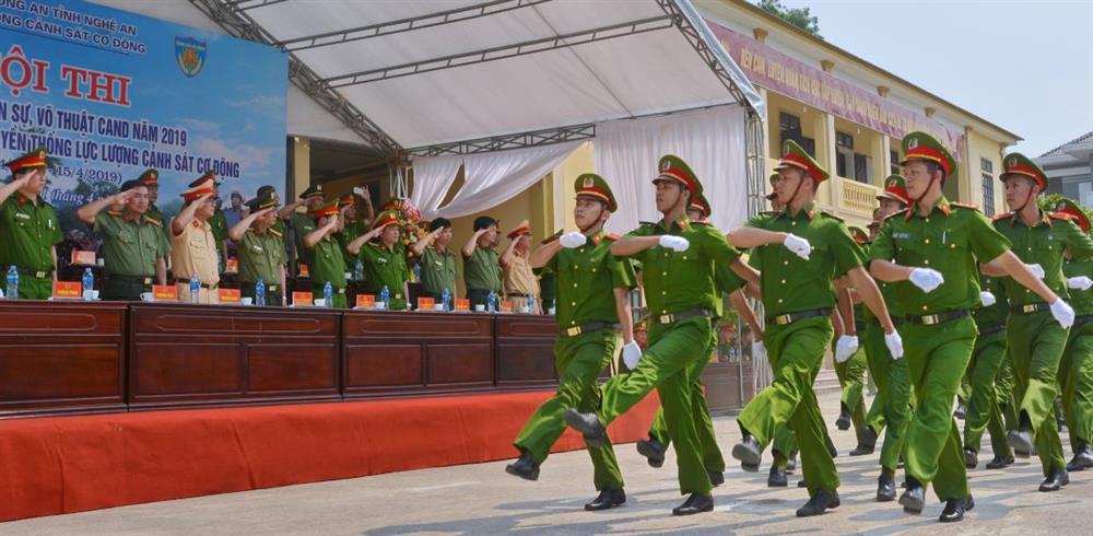 Hội thao điều lệnh quân sự, võ thuật