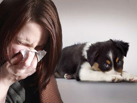 Cảnh báo: Nguy cơ lây bệnh từ vật nuôi sang người