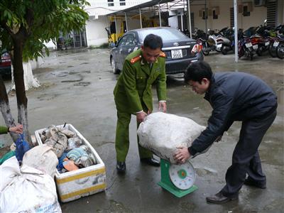 Tăng cường đấu tranh phòng, chống mua bán, vận chuyển động vật hoang dã