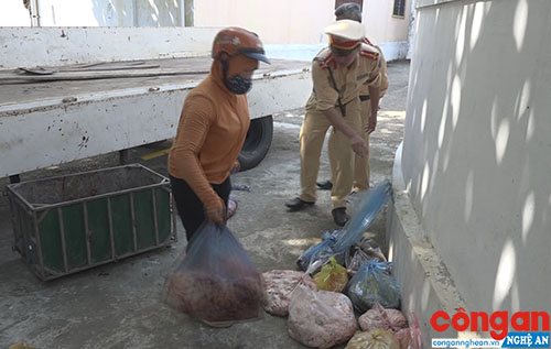 Nghệ An: Bắt vụ vận chuyển 100 kg nội tạng động vật bốc mùi hôi thối