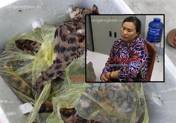 Bắt đối tượng mua bán, vận chuyển động vật hoang dã quý hiếm