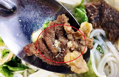 Xử lý vụ việc suất ăn trưa của công nhân có dòi