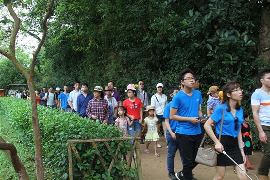 Bảo tồn, phát huy giá trị di sản văn hóa gắn với phát triển kinh tế