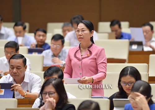 Đại biểu Nguyễn Thanh Thủy - Hậu Giang phát biểu tại phiên họp
