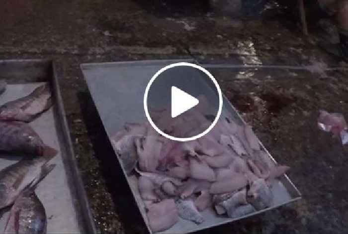 Tiết lộ gây sốc về bún cá rô đồng