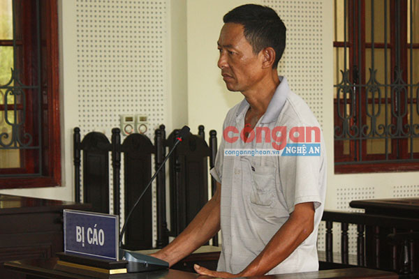 Đánh dượng chấn thương sọ não, cháu vợ lĩnh án tù