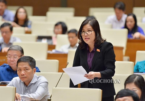 Đại biểu Đinh Thị Phương Lan - Đoàn ĐBQH tỉnh Quảng Ngãi phát biểu