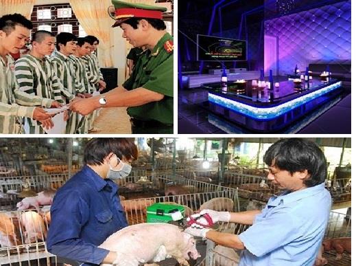 Chỉ đạo, điều hành của Chính phủ, Thủ tướng Chính phủ nổi bật tuần từ 17-21/6/2019
