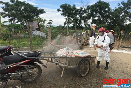 Tăng cường công tác tuyên truyền dịch tả lợn Châu Phi