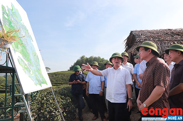 Tồn tại, hạn chế trong quản lý, sử dụng đất