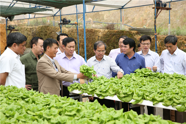 Đẩy mạnh truyền thông về HTX kiểu mới để lan tỏa hiệu quả
