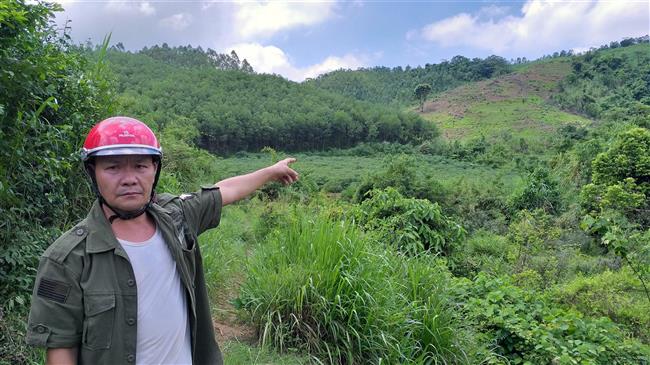 Hàng chục hộ dân kêu cứu vì bị chiếm đất rừng