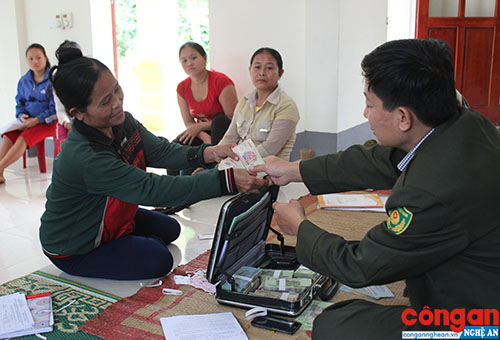 Phát triển lâm nghiệp theo hướng bền vững