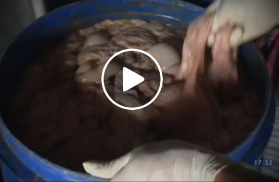 Hãi hùng nầm lợn thối lên bàn nhậu