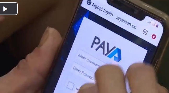 Rủi ro khi đầu tư vào tiền ảo Paya