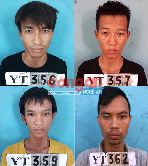 Nhóm đối tượng trộm cắp và cướp giật tài sản trong Chuyên án 819T