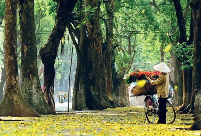 Bắc bộ se lạnh, Trung bộ có mưa rào và giông