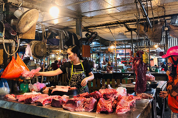 Không được lơ là, chủ quan trong phòng, chống dịch tả lợn châu Phi