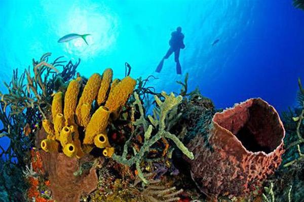 'Vũ khí' mới có thể chữa trị bệnh lao kháng thuốc