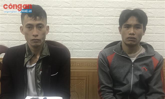 Sa lưới vì vận chuyển ma túy thuê