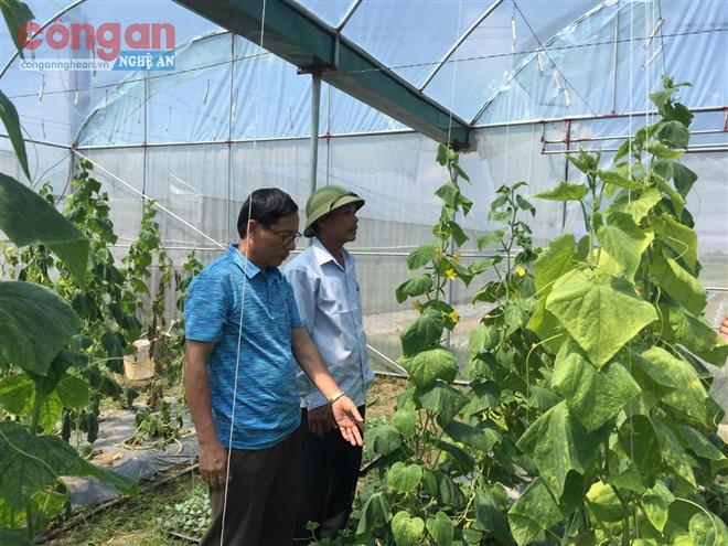Chuyển biến tích cực tại các xã nông thôn mới kiểu mẫu