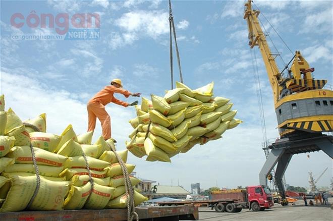 Bảo đảm an ninh lương thực giữa dịch COVID-19