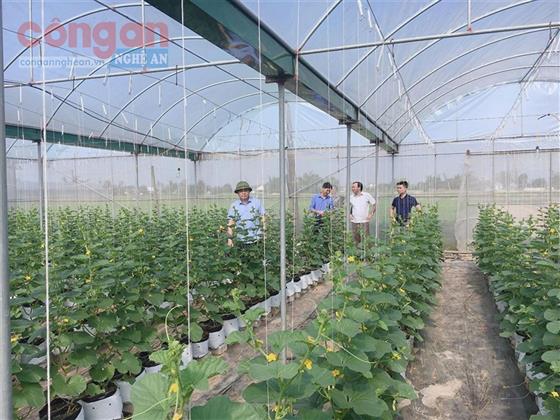 Thúc đẩy tăng trưởng lĩnh vực nông nghiệp, phát triển nông thôn