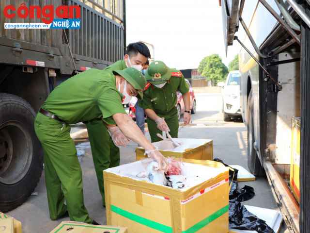 Bắt giữ xe khách chở 800kg thực phẩm bốc mùi hôi thối