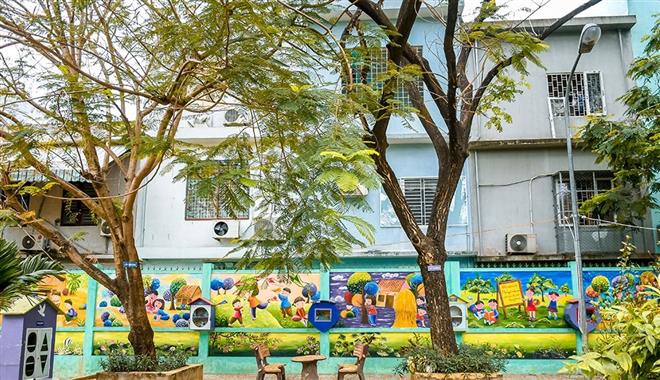 Bộ GD&ĐT yêu cầu khẩn trương kiểm tra cây xanh trong trường học